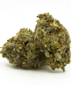 black Tuna strain